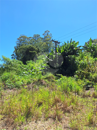 Foto REO1065251