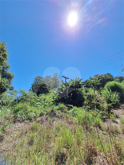Foto REO1065251