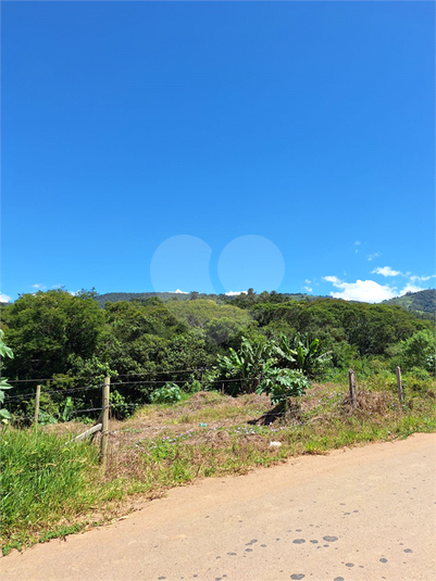 Foto REO1065251