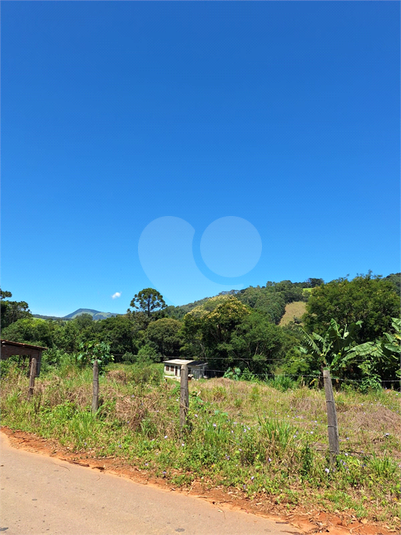 Foto REO1065251