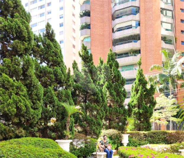Foto REO1065266