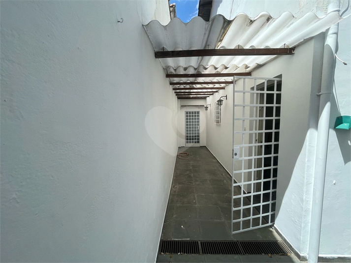 Foto REO1065272