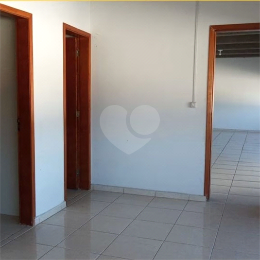 Foto REO1065276