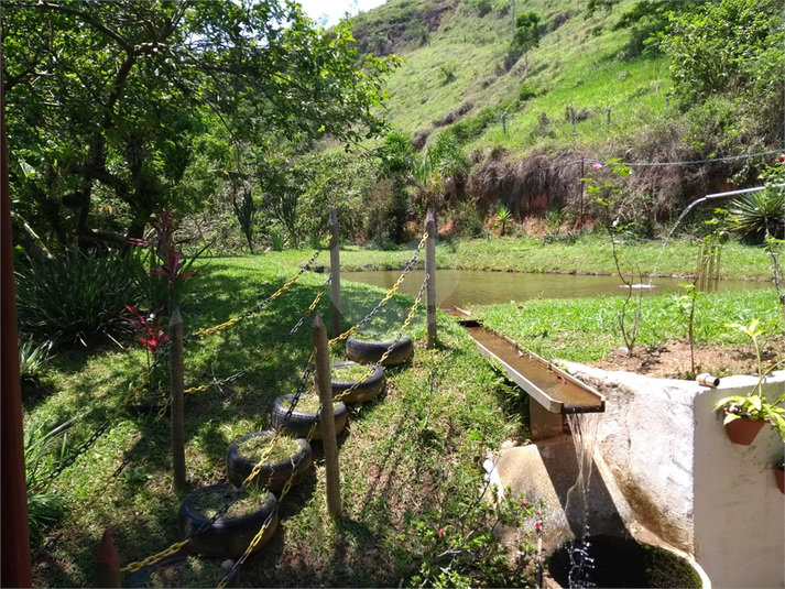 Foto REO1065331