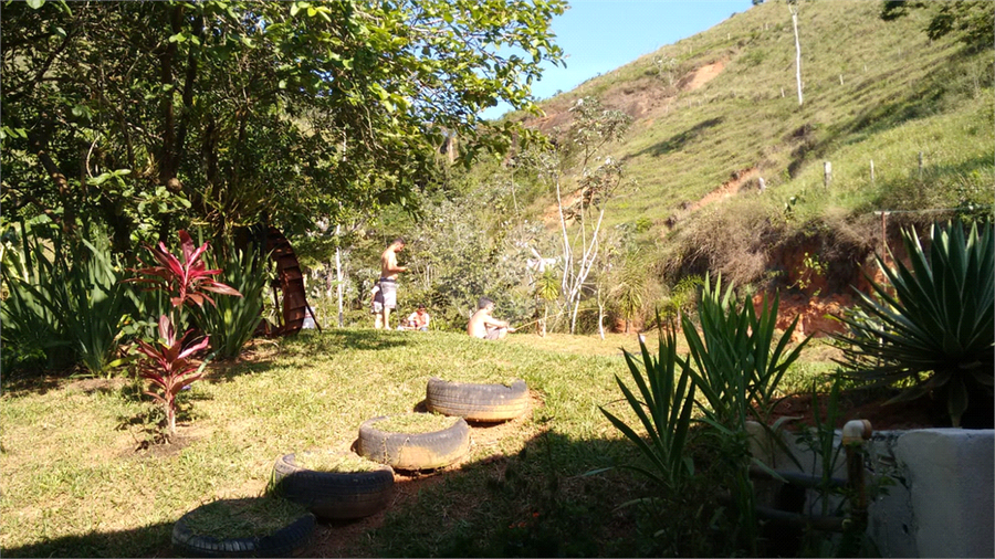 Foto REO1065331