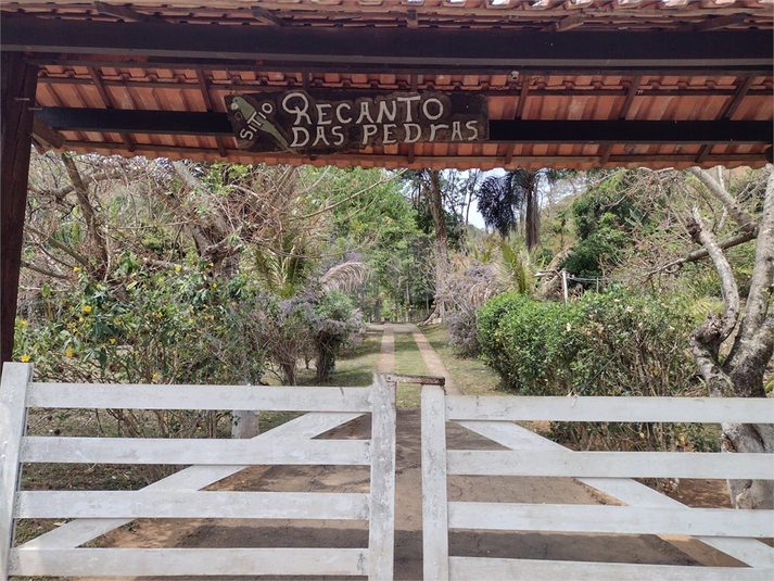 Foto REO1065331
