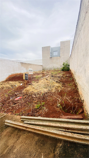 Foto REO1065347