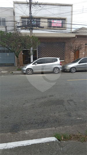 Foto REO1065350