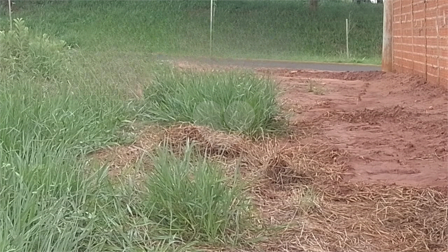 Venda Terreno Lençóis Paulista Residencial Vila Da Mata I REO1065367 3