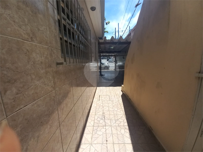 Foto REO1065375