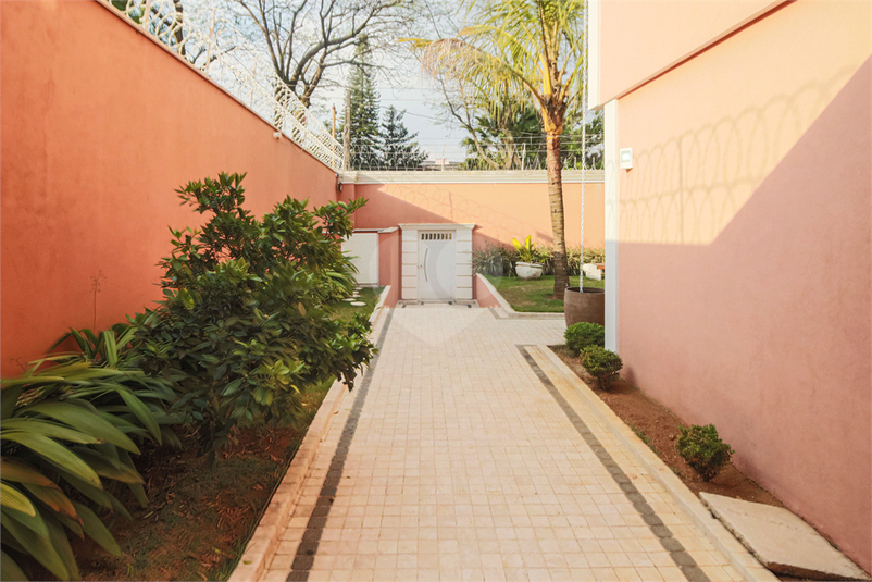 Foto REO10654