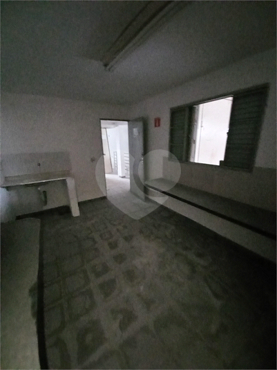 Foto REO1065402