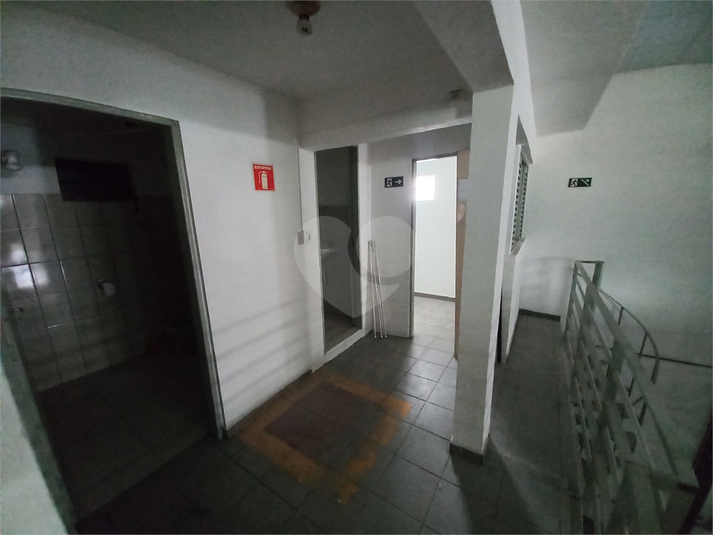 Foto REO1065402