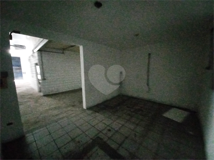 Foto REO1065402