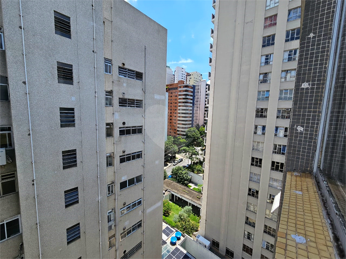 Foto REO1065435