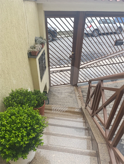 Foto REO1065486