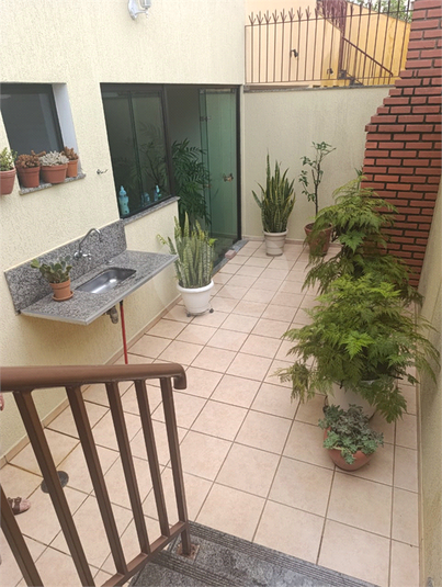 Foto REO1065486