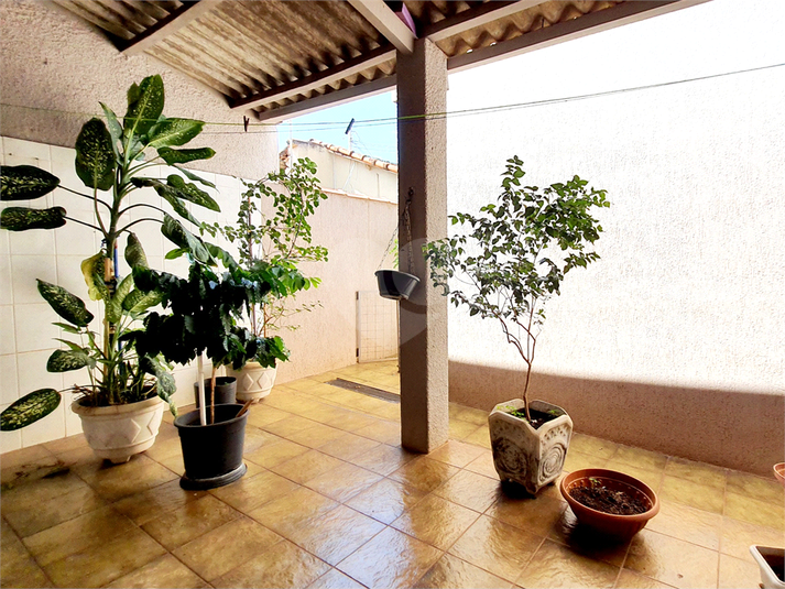 Foto REO1065487