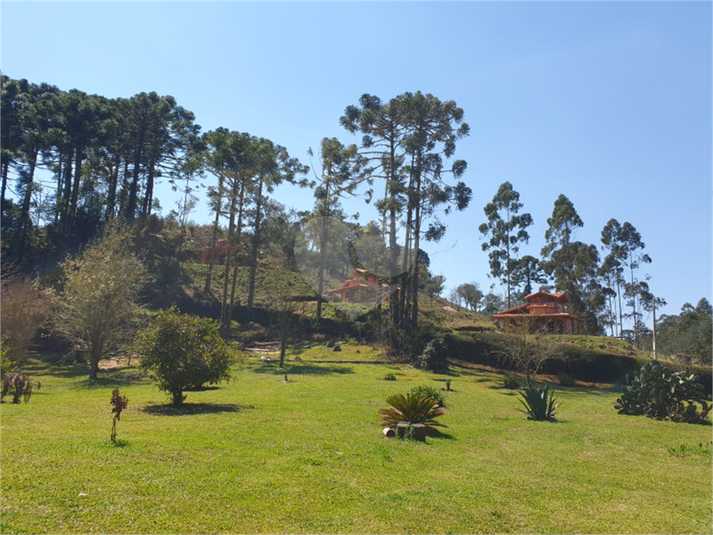 Foto REO1065492