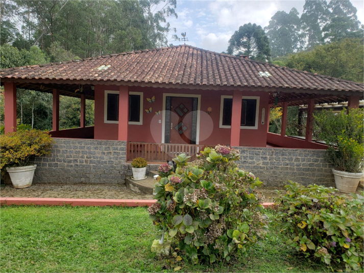 Foto REO1065492