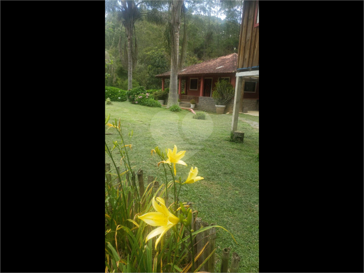 Foto REO1065492