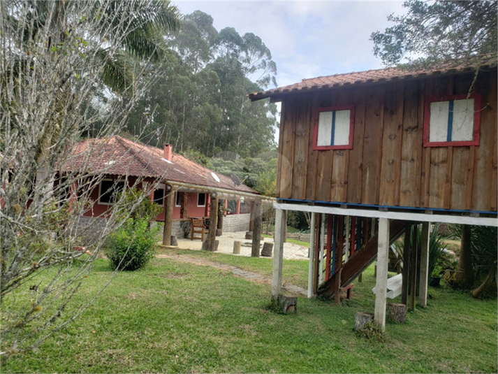 Foto REO1065492