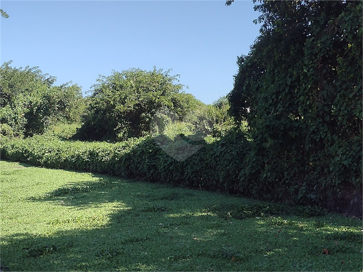 Foto REO1065501