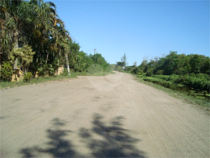 Foto REO1065501