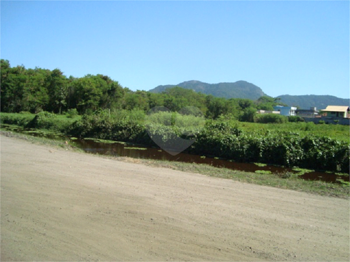 Foto REO1065501