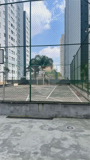 Foto REO1065505