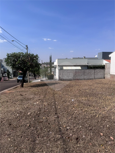 Foto REO1065506
