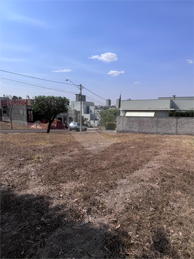 Foto REO1065506