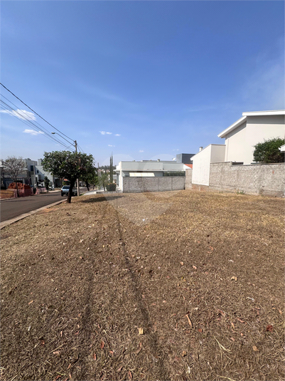 Foto REO1065506