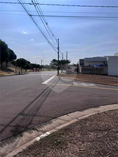 Foto REO1065506