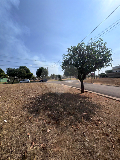 Foto REO1065506