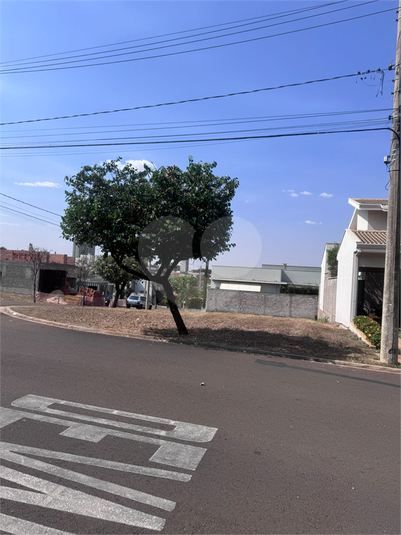 Foto REO1065506