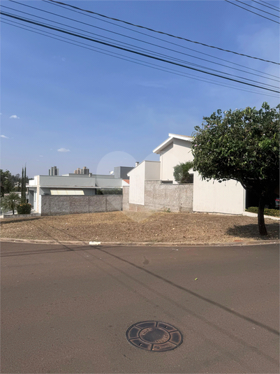 Foto REO1065506