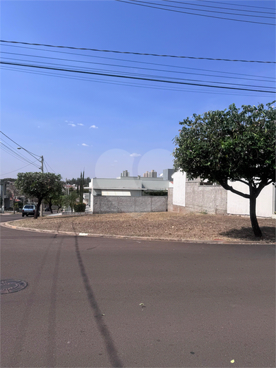Foto REO1065506
