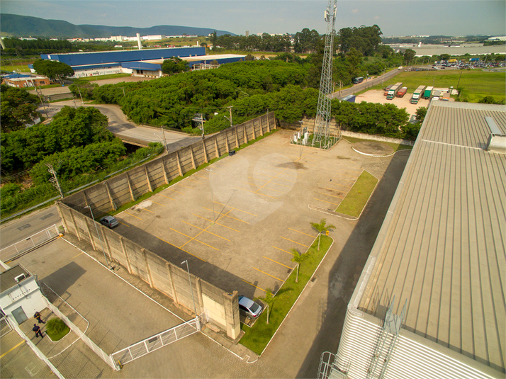 Foto REO1065517