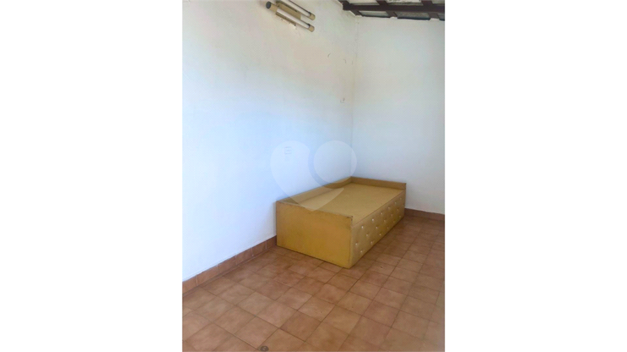 Foto REO1065529