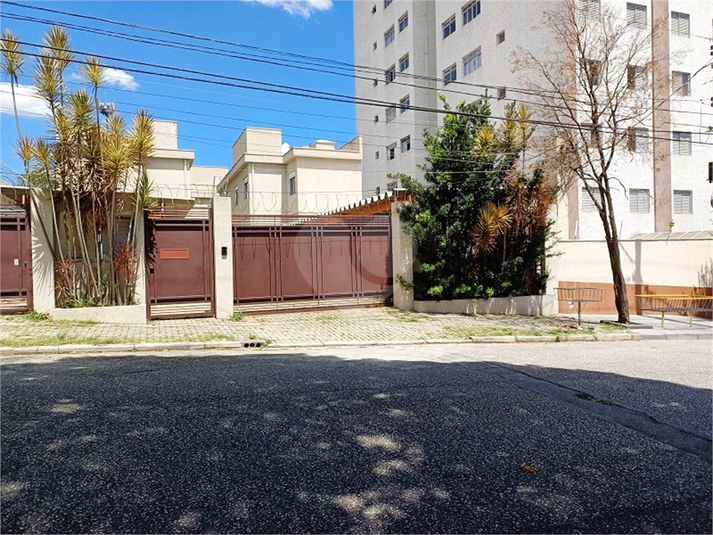 Foto REO1065548
