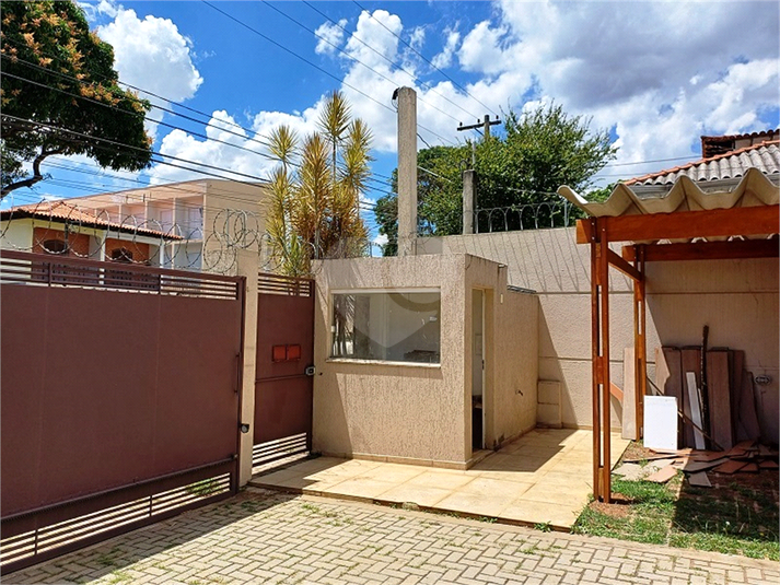 Foto REO1065548