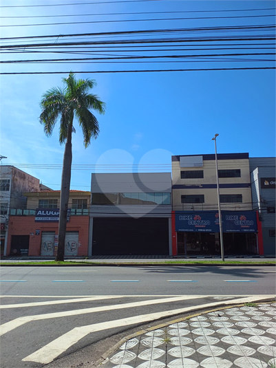 Foto REO1065552