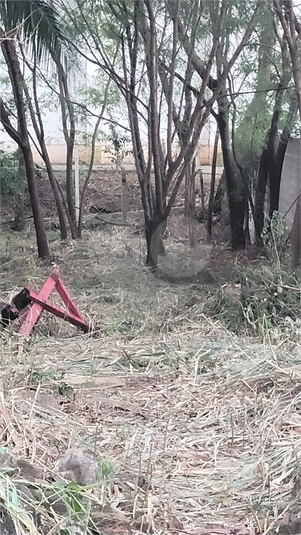 Foto REO1065576