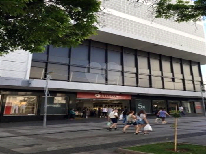 Foto REO1065577