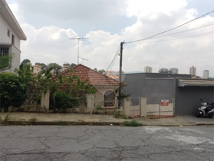 Foto REO1065584