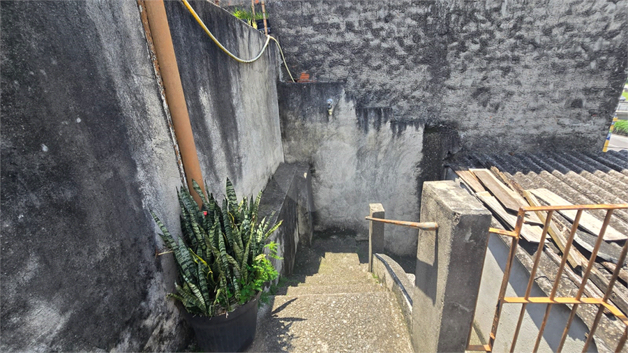 Foto REO1065599