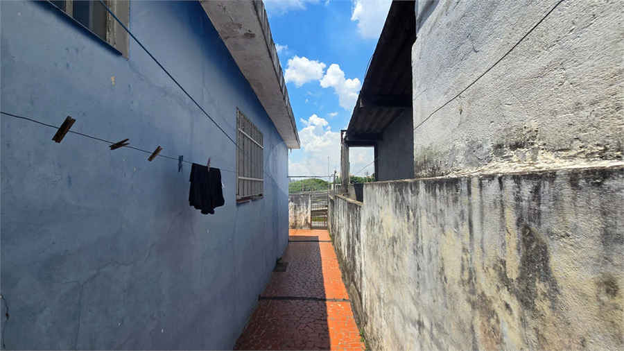 Foto REO1065599