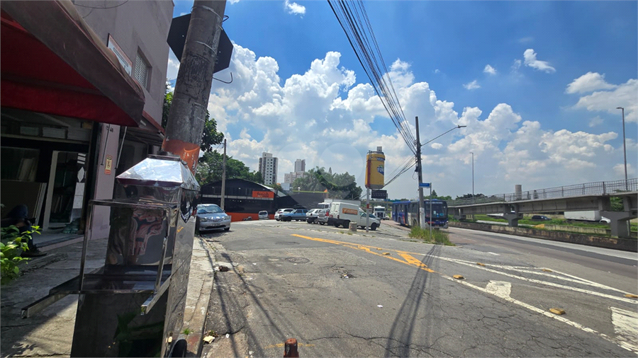 Foto REO1065599