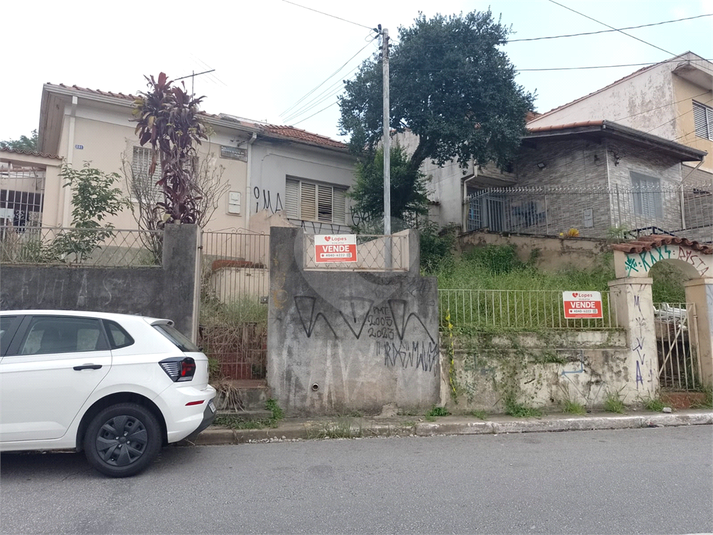 Foto REO1065624